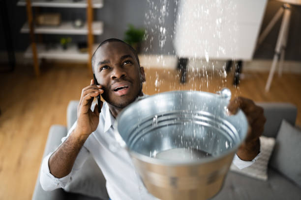 Best Water damage cleanup near me  in Boaz, WV