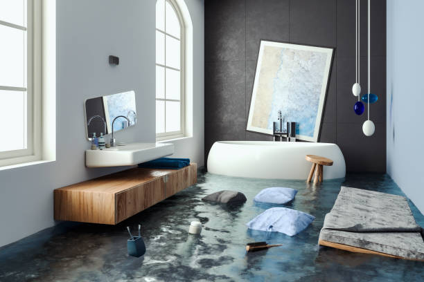 Best Professional water damage repair  in Boaz, WV