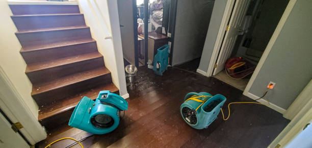  Boaz, WV Water damage restoration Pros