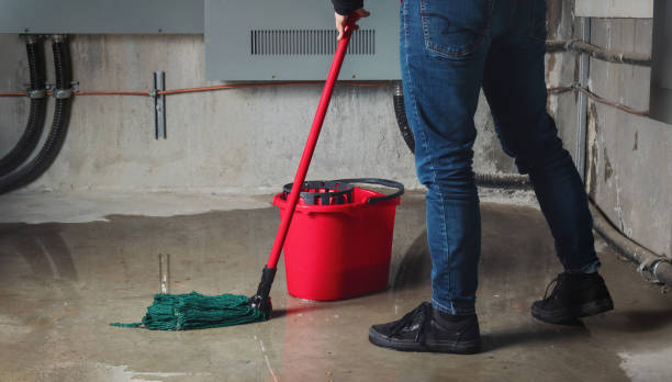 Best 24-hour water damage restoration  in Boaz, WV