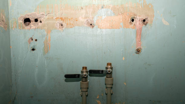 Best Water damage restoration near me  in Boaz, WV